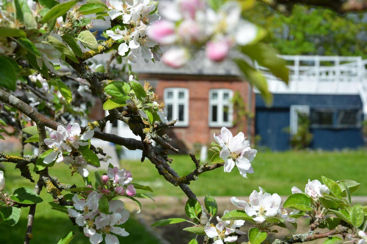 KirkeLy Bed&Breakfast Vester Ulslev Exterior foto