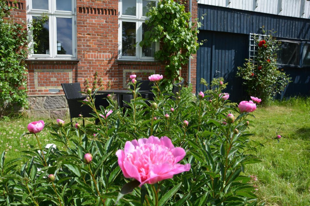 KirkeLy Bed&Breakfast Vester Ulslev Exterior foto